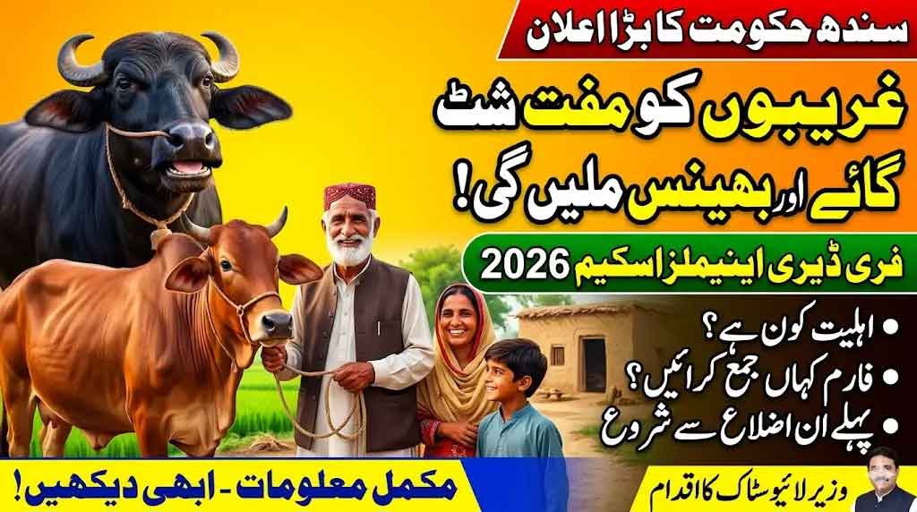 Sindh Govt Livestock Free Animal Scheme 2026